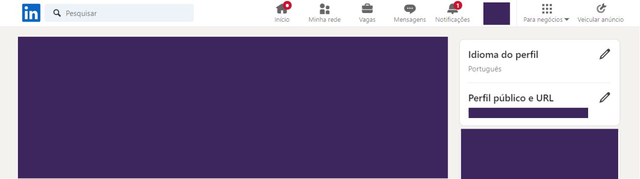 Print do perfil do linkedin mostrando como personalizar a URL